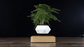 Levitating Air Bonsai Planter - Magic Trend