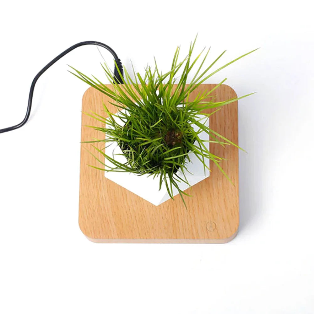 Levitating Air Bonsai Planter - Magic Trend