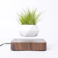 Levitating Air Bonsai Planter - Magic Trend