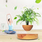 Levitating Air Bonsai Planter - Magic Trend
