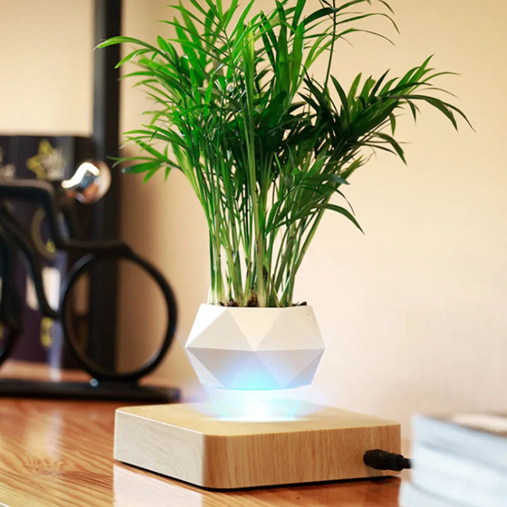 Levitating Air Bonsai Planter - Magic Trend